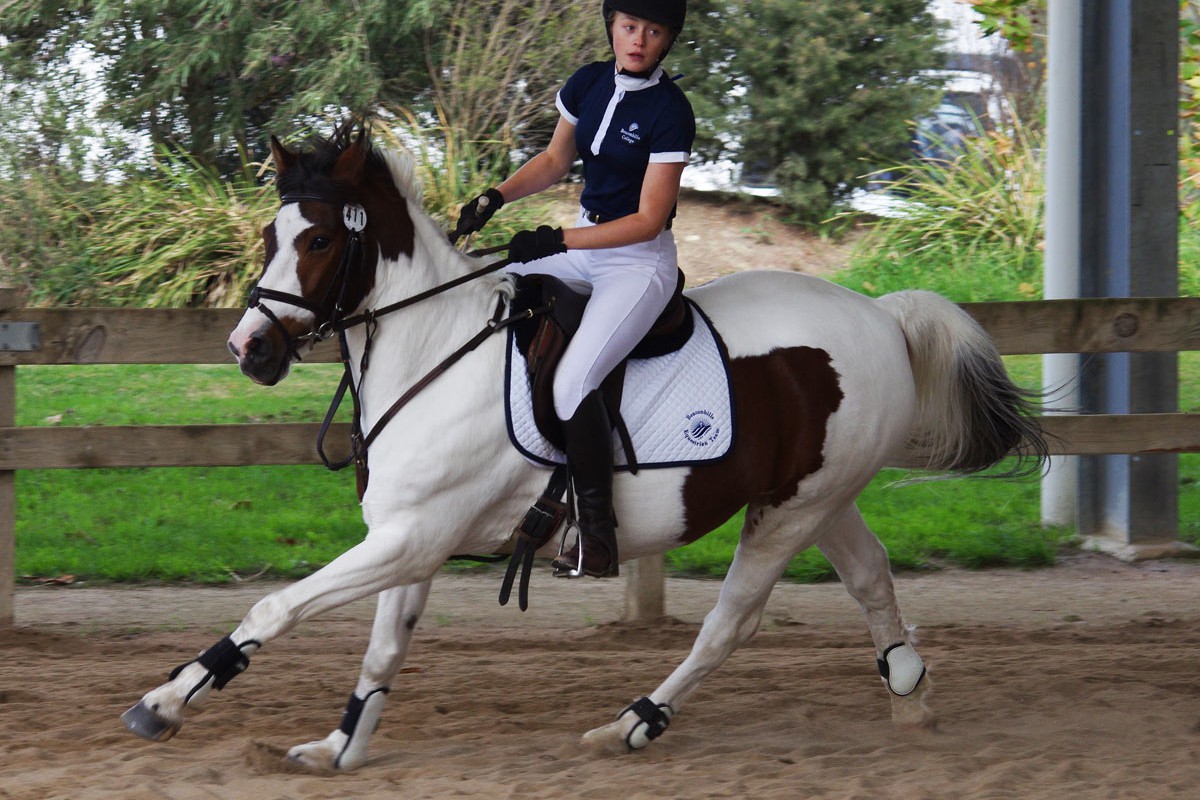 Equestrian-Feature-1200x800