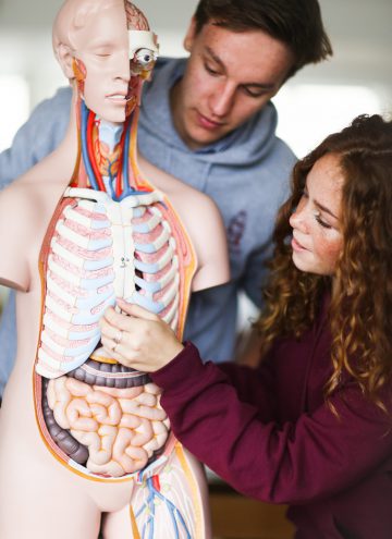 Sidcot (1) Sidcot (1)